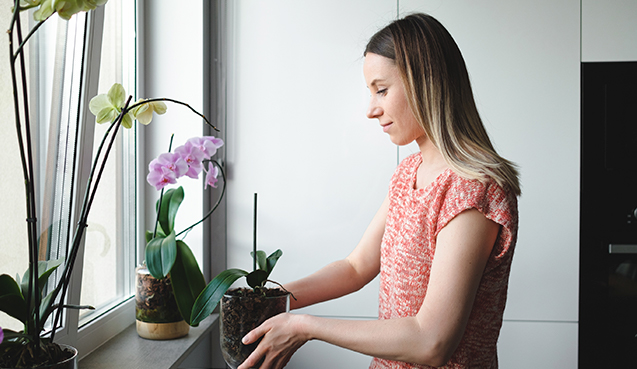 Decoração com vasos de orquídeas